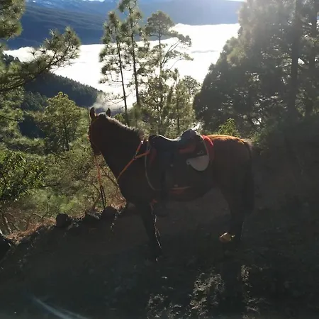Rural House Tenerife Relax And Enjoy * サンタ・ウルスラ