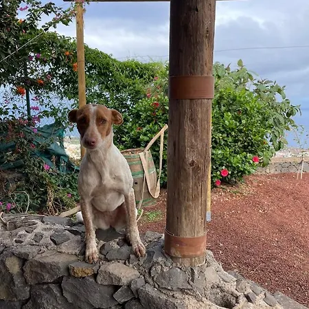 Rural House Tenerife Relax And Enjoy Летний дом Санта-Урсула