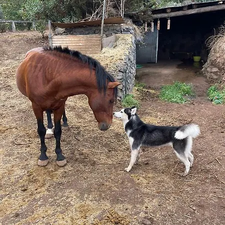 カントリーハウス Rural House Tenerife Relax And Enjoy サンタ・ウルスラ