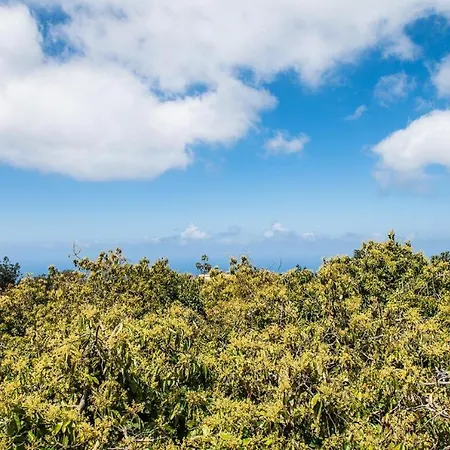 カントリーハウス Rural House Tenerife Relax And Enjoy
