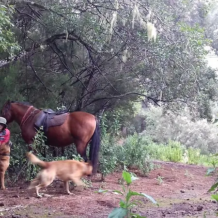 Rural House Tenerife Relax And Enjoy Летний дом *
