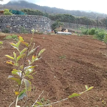 Летний дом Rural House Tenerife Relax And Enjoy