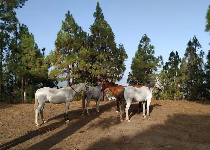 Rural House Tenerife Relax And Enjoy *