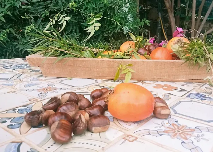 Εξοχικό σπίτι Rural House Tenerife Relax And Enjoy *
