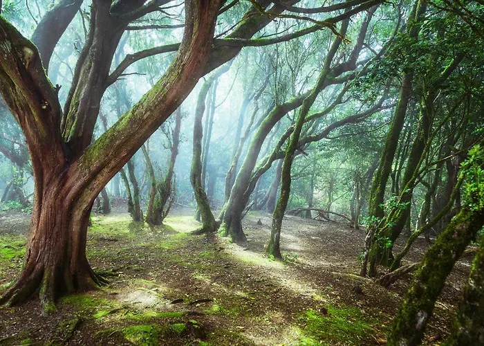 Rural House Tenerife Relax And Enjoy