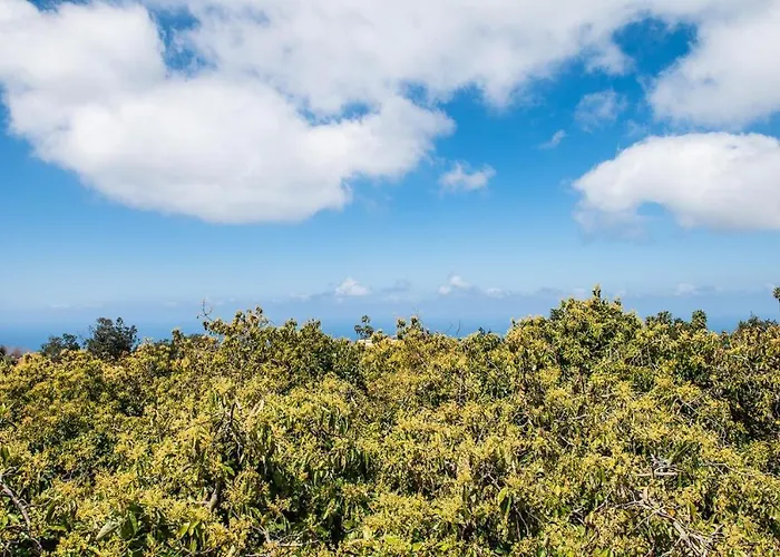 Εξοχικό σπίτι Rural House Tenerife Relax And Enjoy