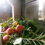 Casa rural Rural House Tenerife Relax And Enjoy *