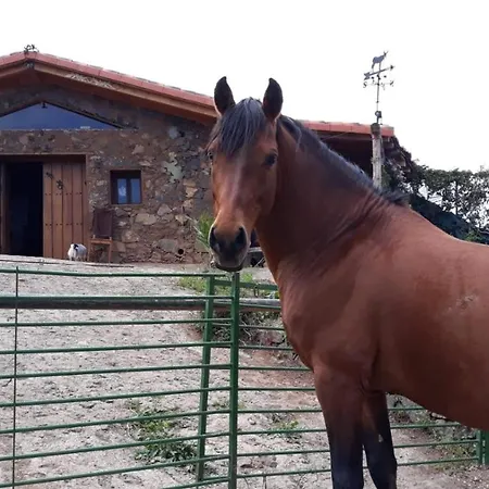 Rural House Tenerife Relax And Enjoy منزل ريفي *