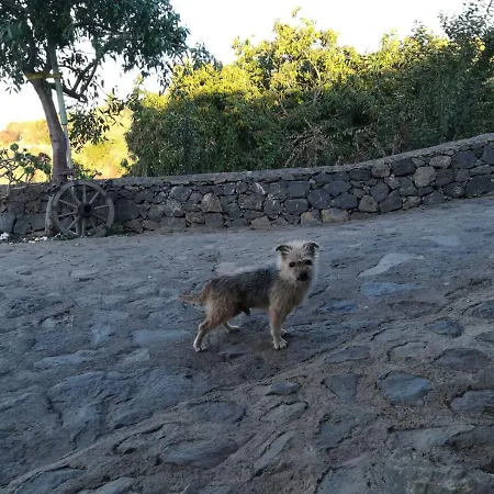 Country house Rural House Tenerife Relax And Enjoy