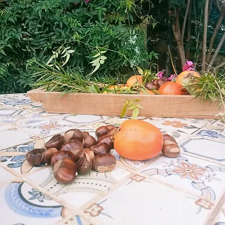 Country house Rural House Tenerife Relax And Enjoy *