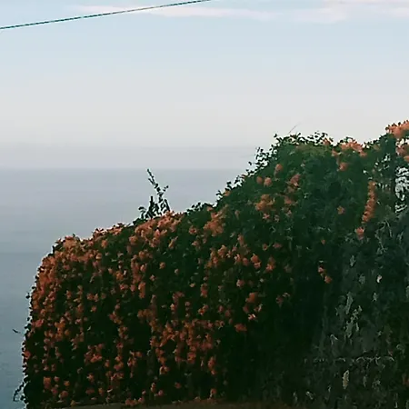 Country house Rural House Tenerife Relax And Enjoy Santa Ursula (Tenerife)