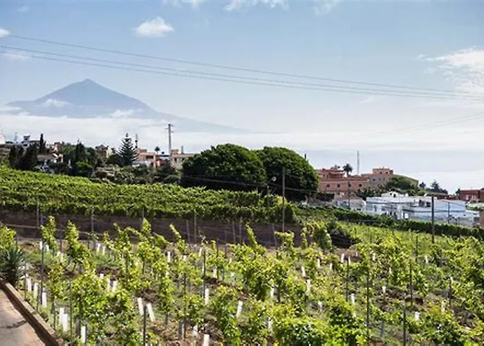 Rural House Tenerife Relax And Enjoy Landhaus *