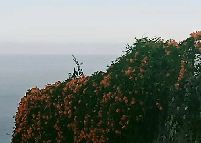 Venkovský dům Rural House Tenerife Relax And Enjoy Santa Úrsula
