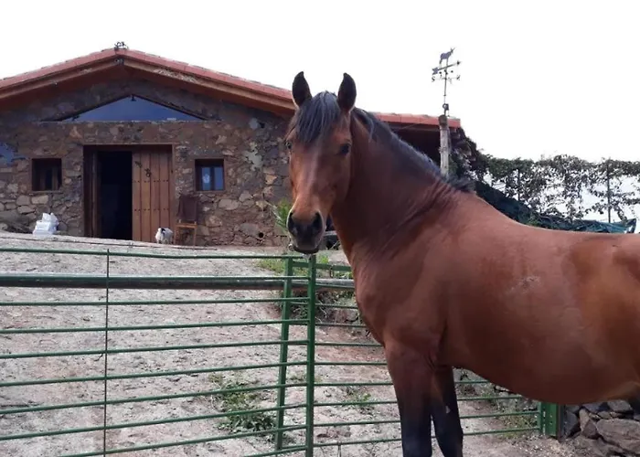 Landhaus Rural House Tenerife Relax And Enjoy