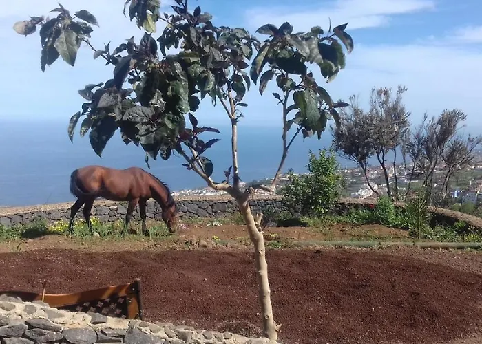 Landhaus Rural House Tenerife Relax And Enjoy *