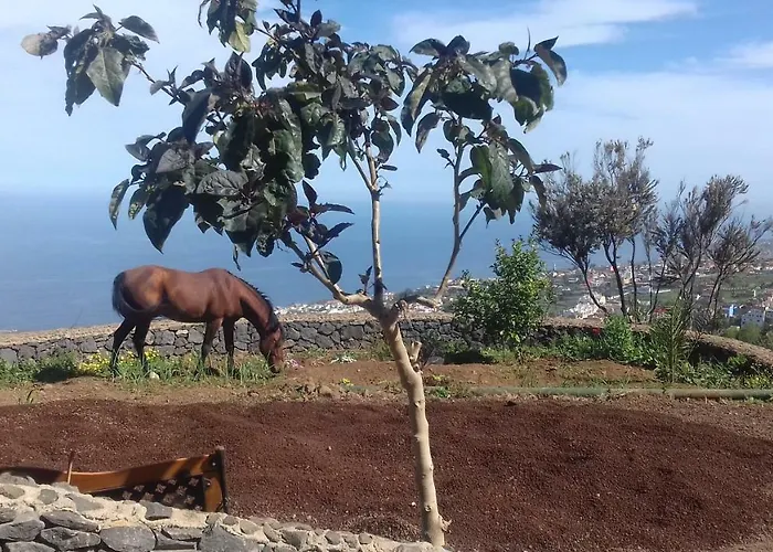 Rural House Tenerife Relax And Enjoy Santa Úrsula