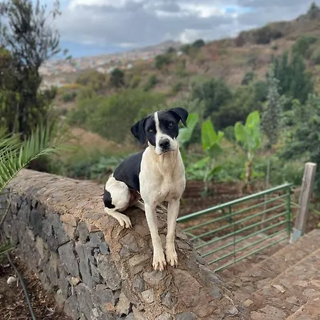 Rural House Tenerife Relax And Enjoy *
