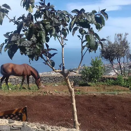 Rural House Tenerife Relax And Enjoy Santa Úrsula