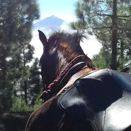 Rural House Tenerife Relax And Enjoy Santa Úrsula