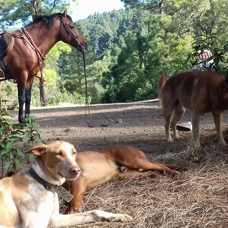 Landhuis Rural House Tenerife Relax And Enjoy Santa Úrsula